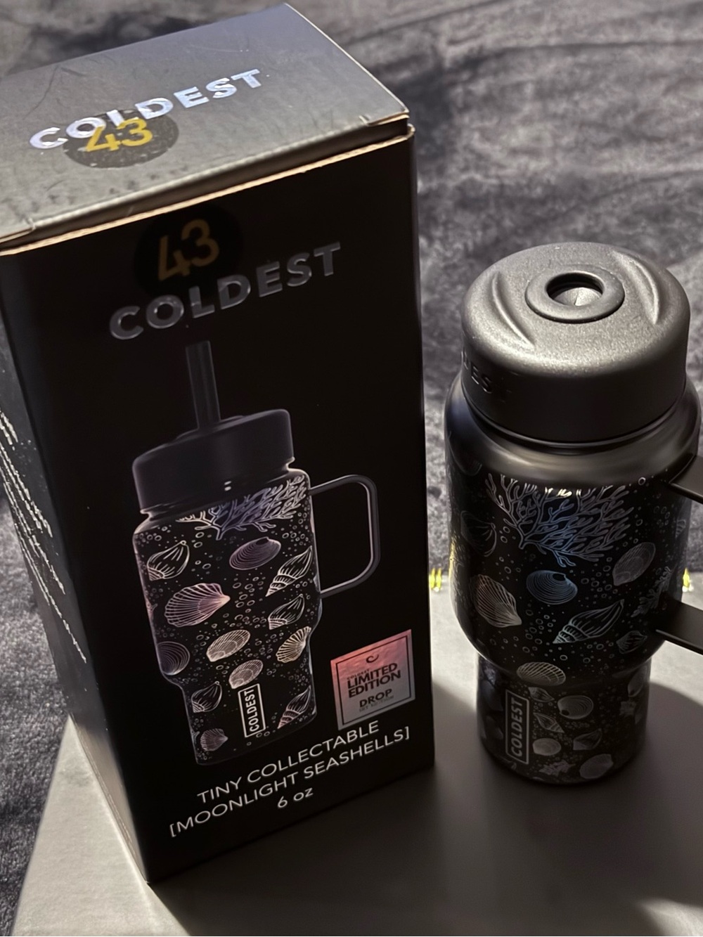 Coldest 43 Tiny Collectable Moonlight Seashells Travel Bottle – Black